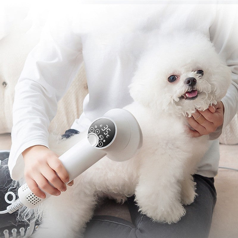 Pet blow dryer best sale