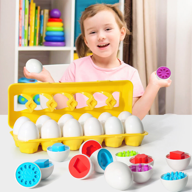 Matching Eggs Toy
