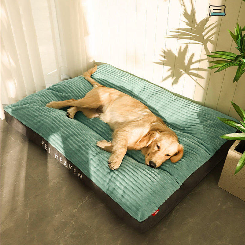 Washable Dog Mat