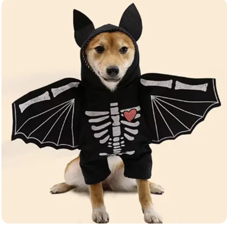 Bat Costume for Dogs