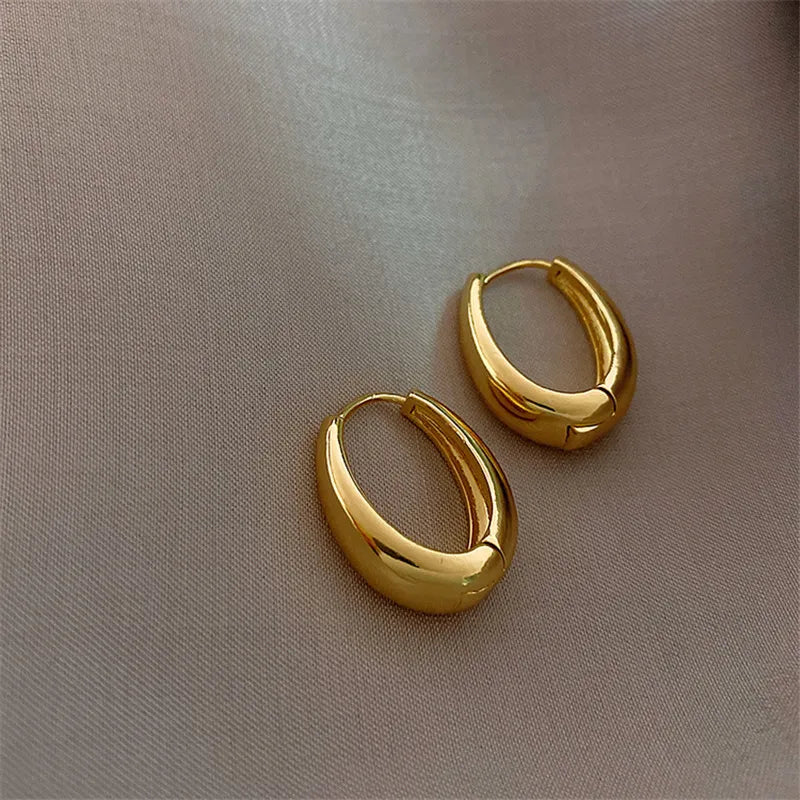 Exquisite Hoop Earrings