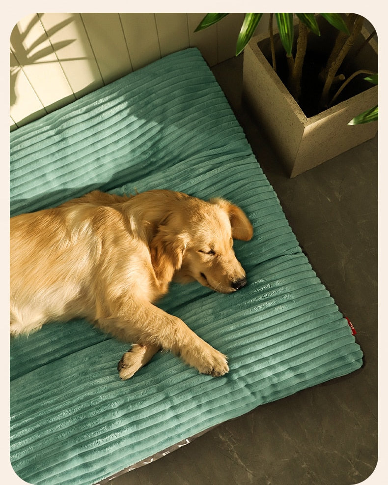 Washable Dog Mat